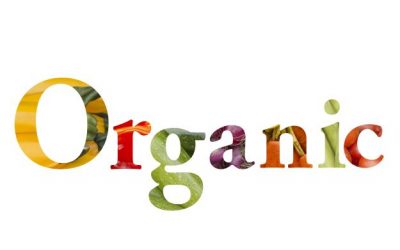 Why Organic Wine is a Joke