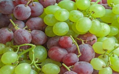 What is the Healthiest Alcohol?